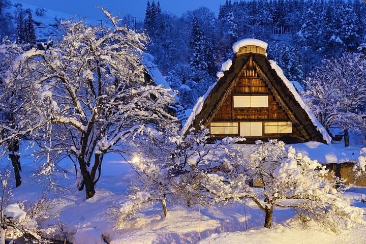 Shirakawago All Must-Sees Private Chauffeur Tour with a Driver (Takayama DEP.)
