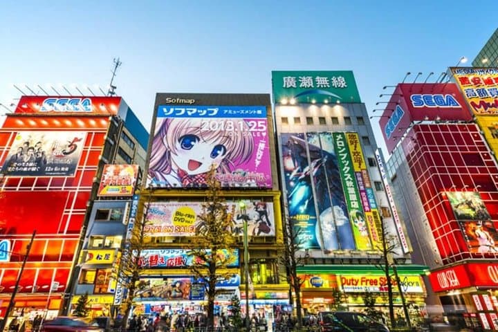 Tokyo Private Off-Beat Tour Hidden Oddities & Icons with a Local — photo 1