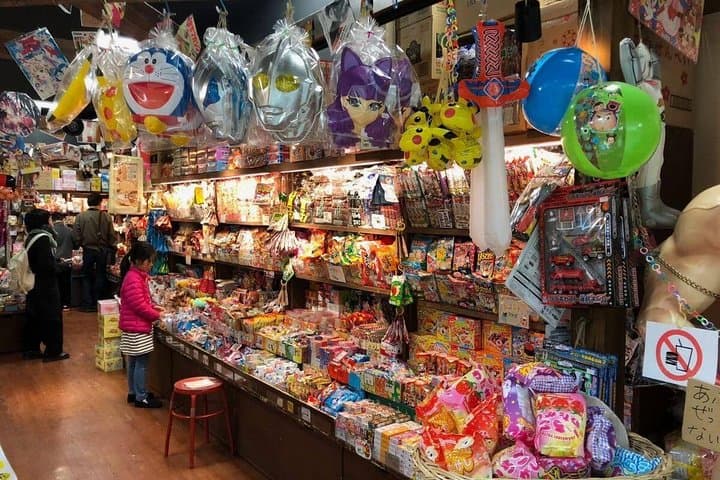 Tokyo Private Off-Beat Tour Hidden Oddities & Icons with a Local — photo 9