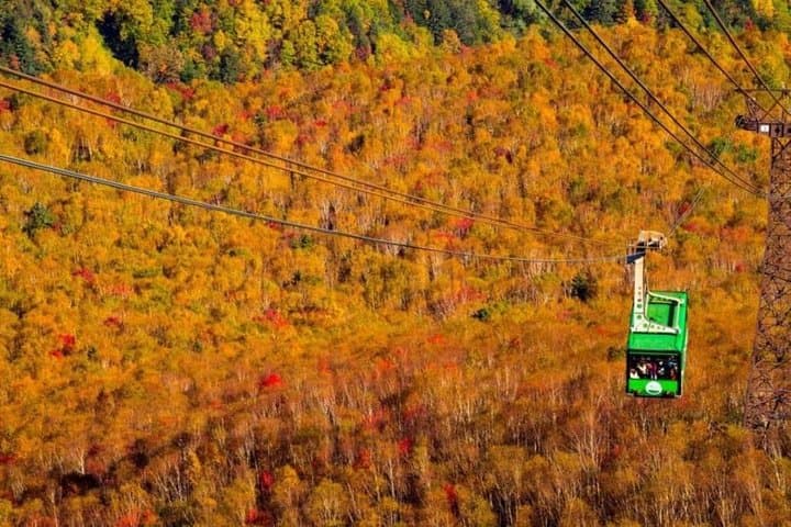 Daisetsuzan National Park and Kurodake Ropeway Autumn Tour