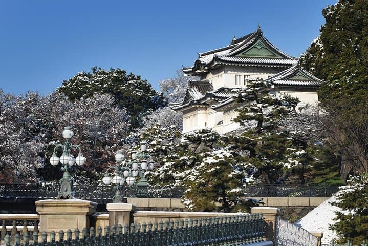 [Private] Tokyo Personalized Tour with An English Speaking Guide — photo 4