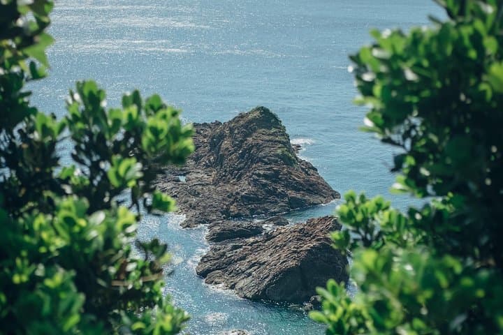 Kagoshima Private Customizable Half Day Tour — photo 3