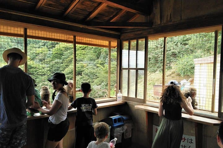 Kyoto Arashiyama & Golden Pavilion One-Day Walking Tour — photo 3