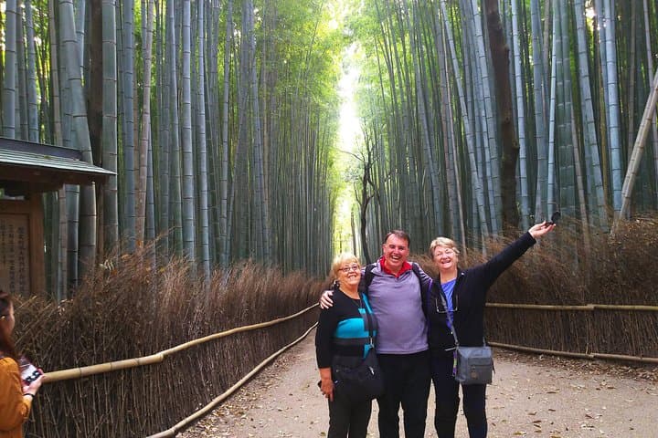 Kyoto Arashiyama & Golden Pavilion One-Day Walking Tour — photo 6
