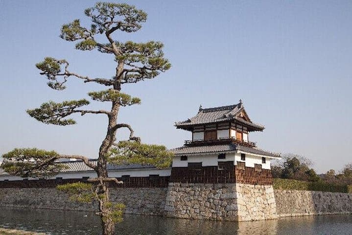 Private Sightseeing Walking Tour in Hiroshima with a Guide — photo 4