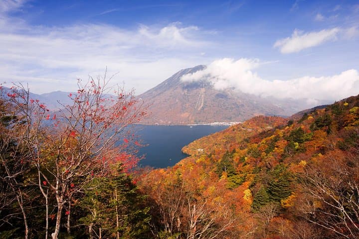 Full Day Nikko Tour, to-and-from Tokyo 23 Wards, 2- 12 guests — photo 11