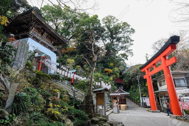 Full Day Kamakura Tour, From/To Tokyo, Yokohama, 2- 12 guests — photo 15
