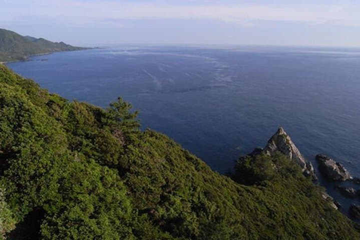 Private Tour: Full-Day Walking Tour with Professional Local Guide in Yakushima Island — photo 2