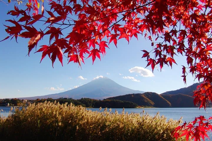 Discover Mt. Fuji area & Lake Kawaguchiko Sightseeing Day Tour — photo 8