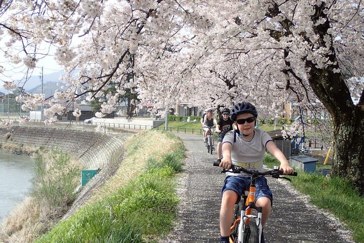 Private Afternoon Cycling Tour in Hida-Furukawa — photo 10
