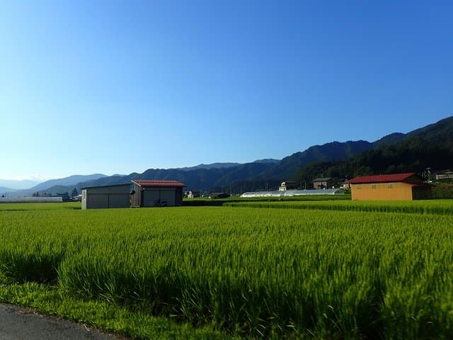 Private-group Morning Cycling Tour in Hida-Furukawa — photo 19