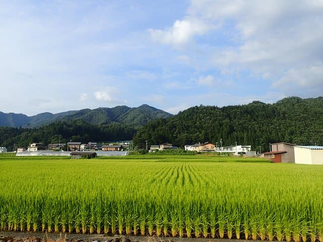 Short Morning Cycling Tour in Hida — photo 17