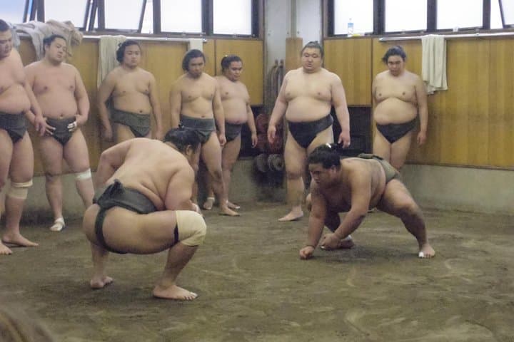 Tokyo Sumo Morning Practice Tour at Stable — photo 7