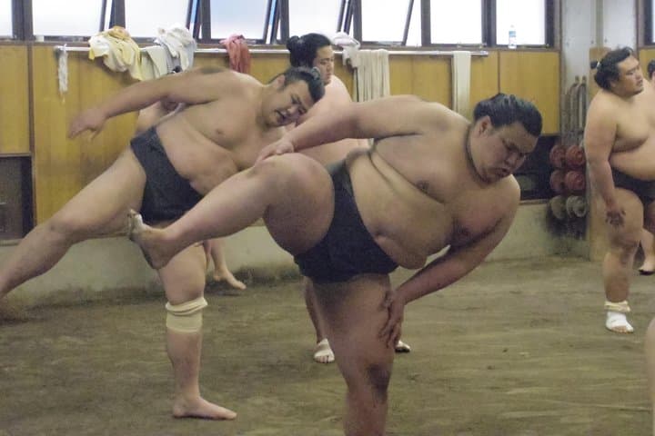 Tokyo Sumo Morning Practice Tour at Stable — photo 12