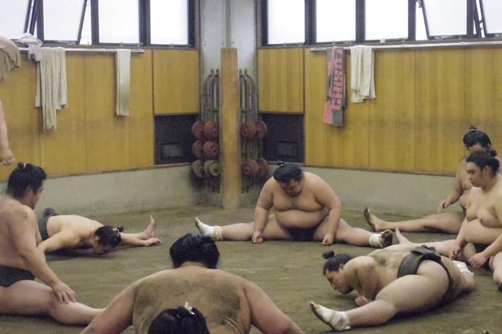 Tokyo Sumo Morning Practice Tour at Stable — photo 9