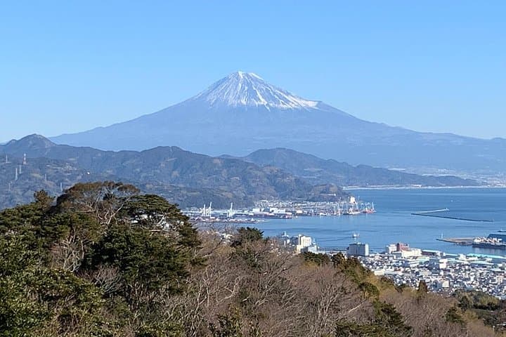 Private sightseeing tour from Shimizu Port / Van Taxi — photo 2