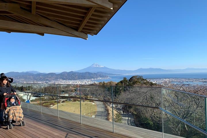 Private sightseeing tour from Shimizu Port / Van Taxi — photo 3