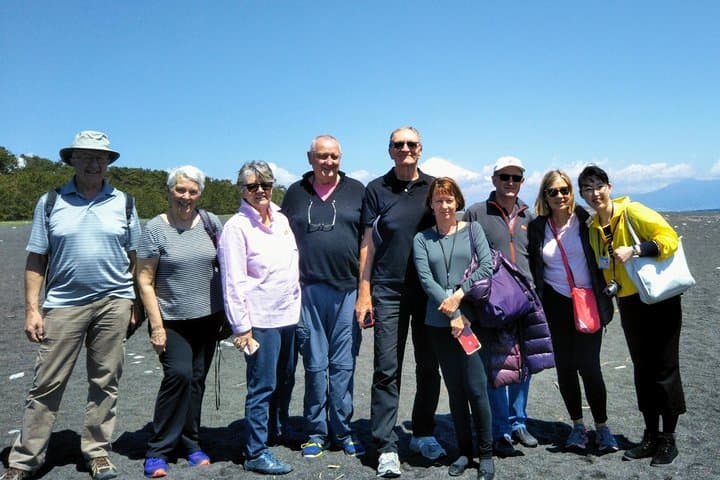 Private sightseeing tour from Shimizu Port / Van Taxi — photo 6