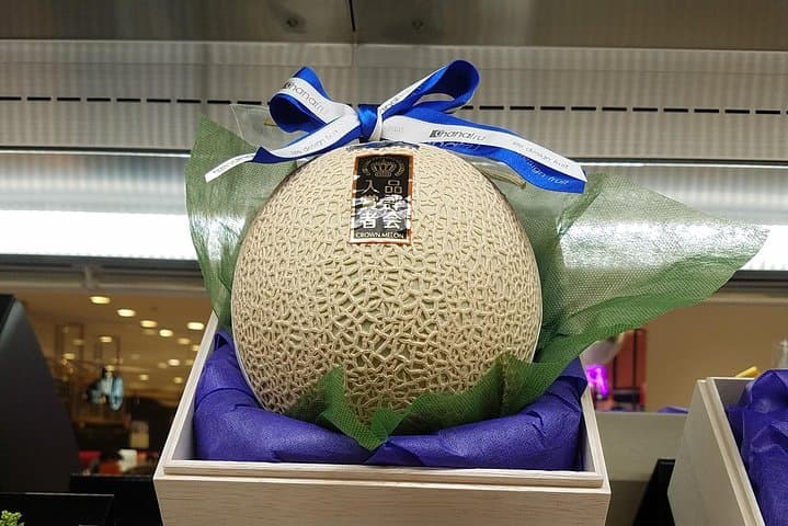Deep Dive: Osaka Food Markets from Local to Luxurious! — photo 6