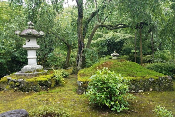 Kyoto Highlights: Arashiyama & Fushimi Inari by Private Car — photo 11