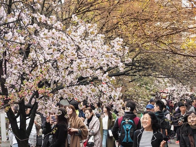 Osaka Private Food Tours by Local Foodies: 100% Personalized — photo 11