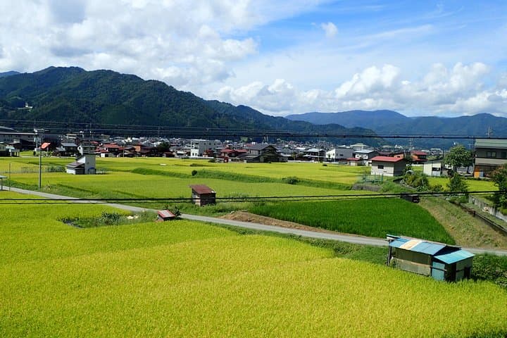 Private-group Morning Cycling Tour in Hida-Furukawa — photo 9