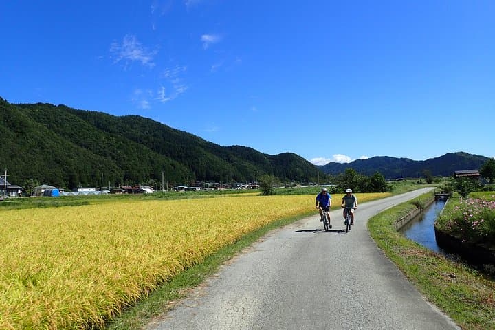 Private-group Morning Cycling Tour in Hida-Furukawa — photo 8