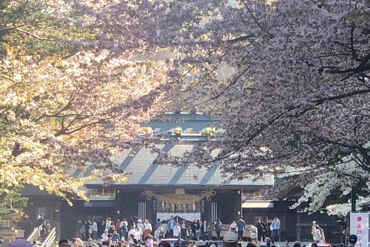 [Sapporo] Go by private car! Takino Cemetery, Hokkaido Shrine, Shiroi Koibito Park — photo 4