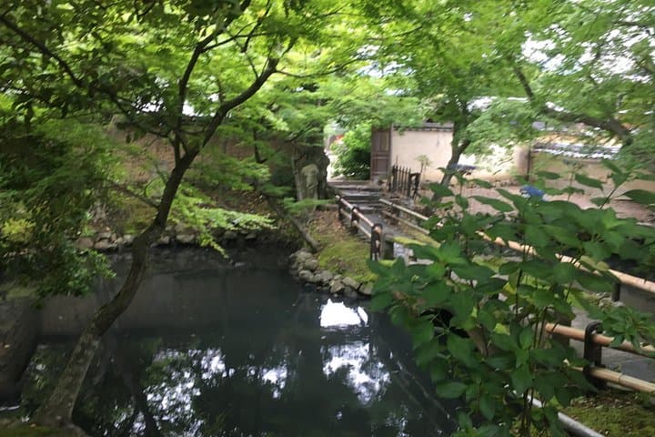 Nara Half Day Trip Walking Tour (Private Option Available) — photo 12