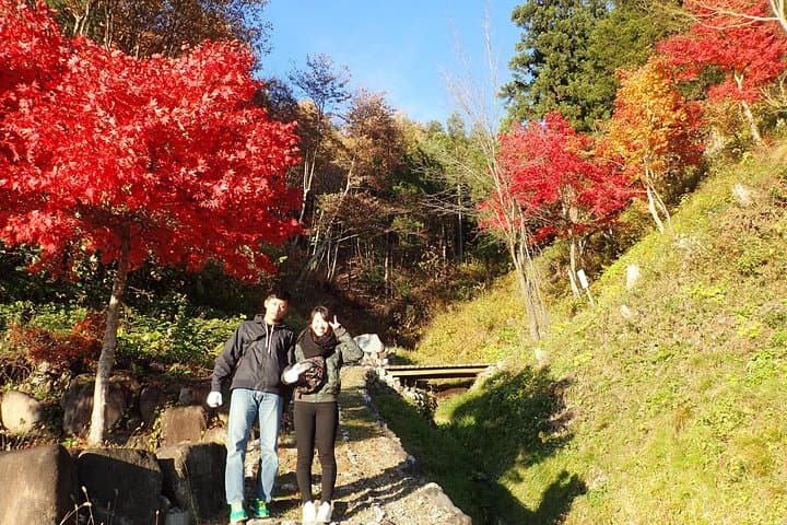 Private Afternoon Cycling Tour in Hida-Furukawa — photo 4