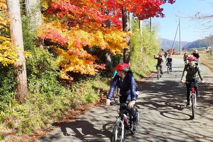 Private Afternoon Cycling Tour in Hida-Furukawa — photo 2