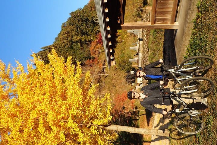 Private-group Morning Cycling Tour in Hida-Furukawa — photo 4