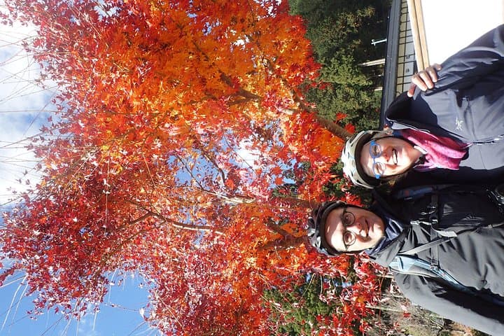 Short Morning Cycling Tour in Hida — photo 4