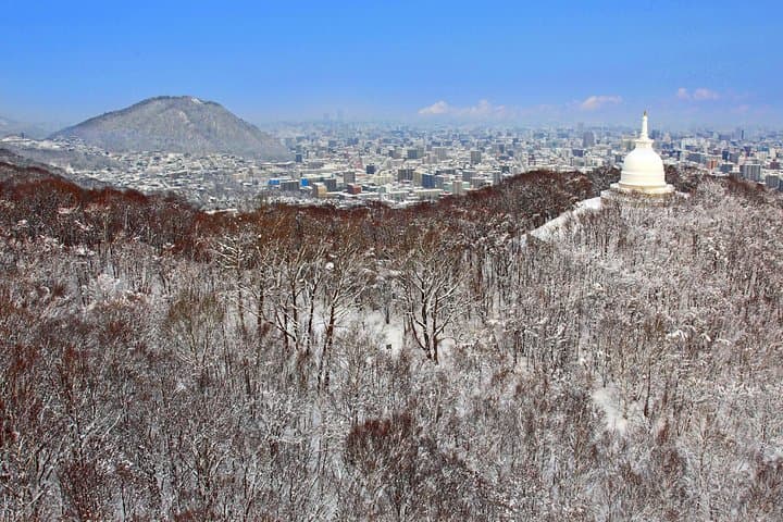 Mt. Moiwa Ropeway / Moriscar Ticket — photo 6