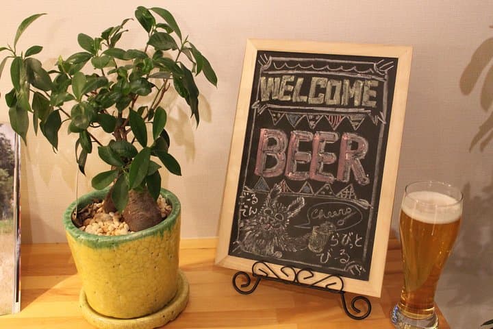 Nara Craft Tours - local Craft beers tour experience in Nara City — photo 6