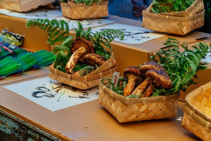 The Award-Winning PRIVATE Food Tour of Kyoto: The 10 Tastings — photo 3