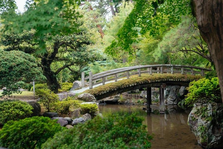 The Beauty of Kyoto by Bike: Private Tour — photo 6