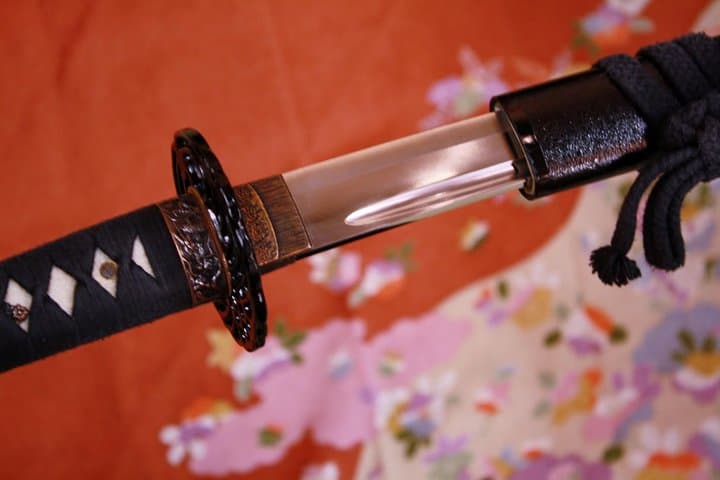 Samurai Performance and Casual Experience: Kyoto Ticket — photo 3