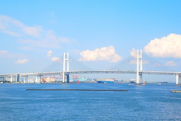 Private Arrival Transfer : Haneda Airport to Yokohama City — photo 4