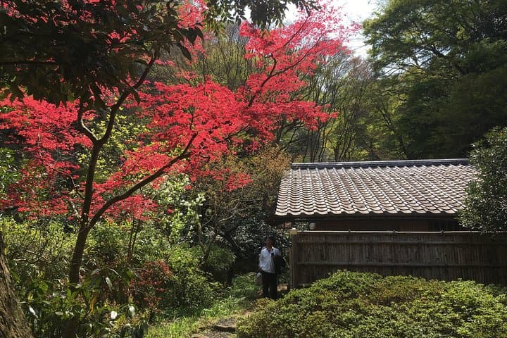 Kamakura & Enoshima Coastal Customized Private Tour — photo 5