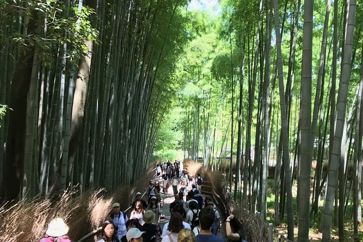 Kyoto Private Custom Tour with local expert guide + Hotel Pickup — photo 16