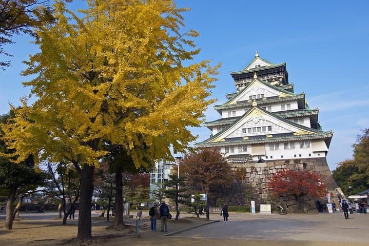 Private Departure Transfer: Osaka City to Osaka Itami Airport — photo 5