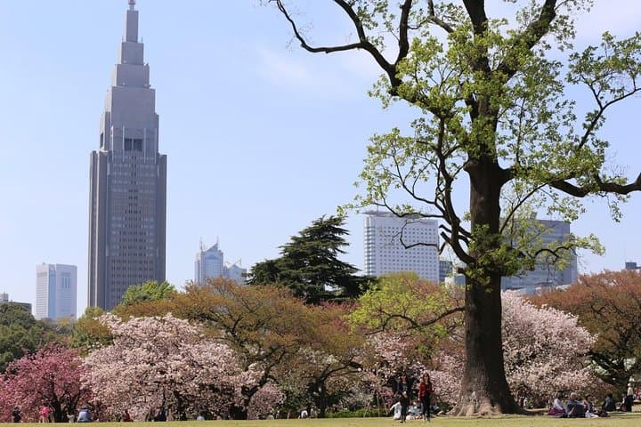 Shared Arrival Transfer : Haneda Airport to Central Tokyo City — photo 4