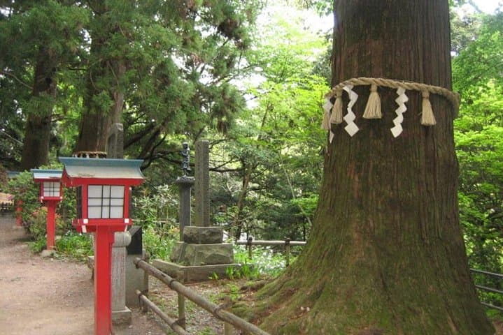 Nature tour at Mt. Takao — photo 6