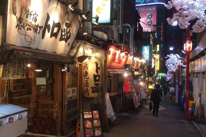 Private tour in Tokyo on your own custom itinerary — photo 1
