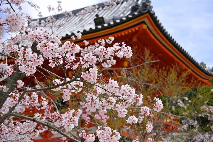 Shared Departure Transfer: Kyoto City to Osaka Itami Airport — photo 7