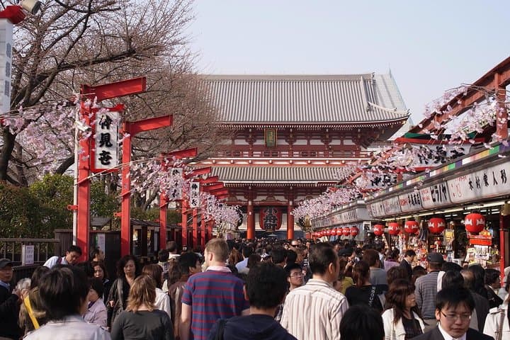 Japanese Sample Food Making and Asakusa History Tour — photo 7