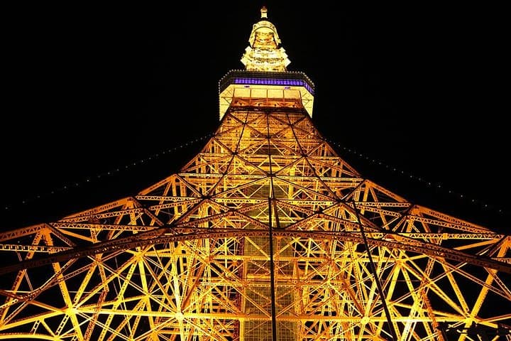 Tokyo City Night View Tour with Native Japanese Driver — photo 2