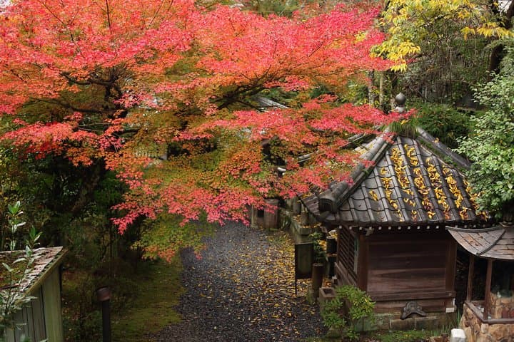 Kimono and Tea Ceremony in Miyajima — photo 3