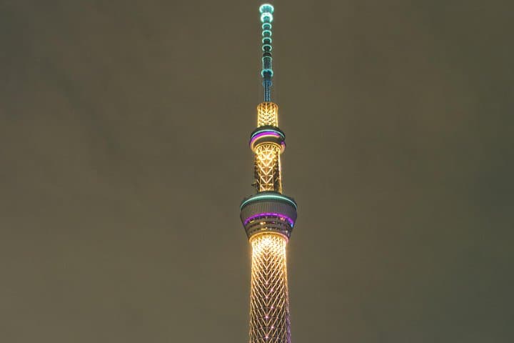 Tokyo Private Tour with Native Japanese Driver — photo 4